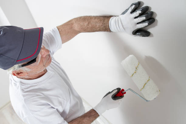 Best Basement Mold Removal  in Washington Park, IL