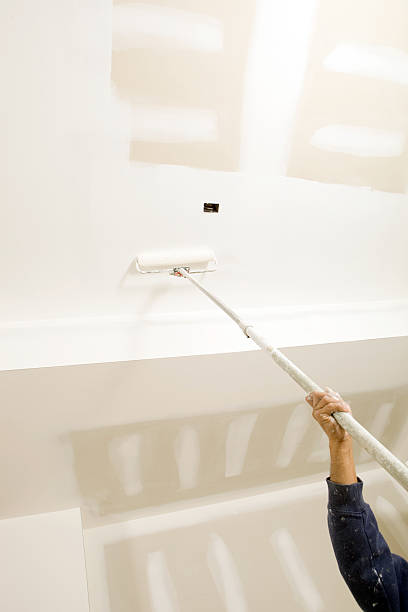 Best Mold Prevention Services  in Washington Park, IL