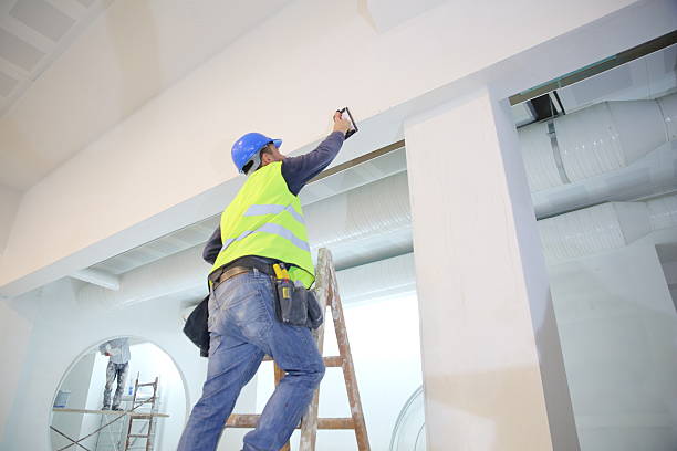 Best Residential Mold Inspection & Testing  in Washington Park, IL