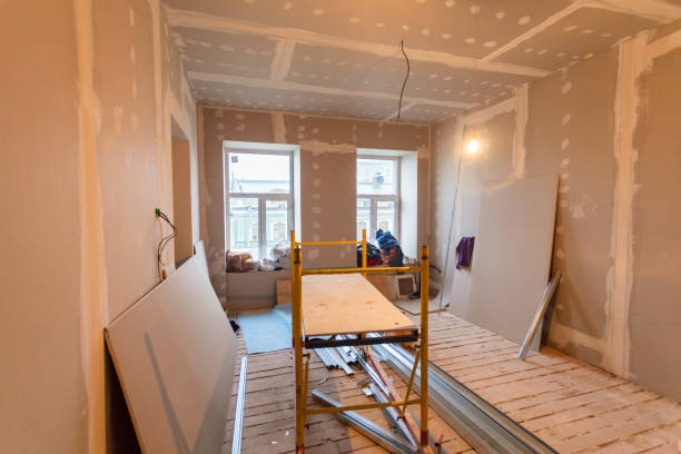 Best Post-Construction Mold Inspection  in Washington Park, IL
