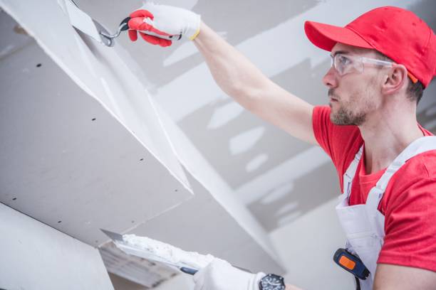 Best Mold Documentation for Insurance Claims  in Washington Park, IL